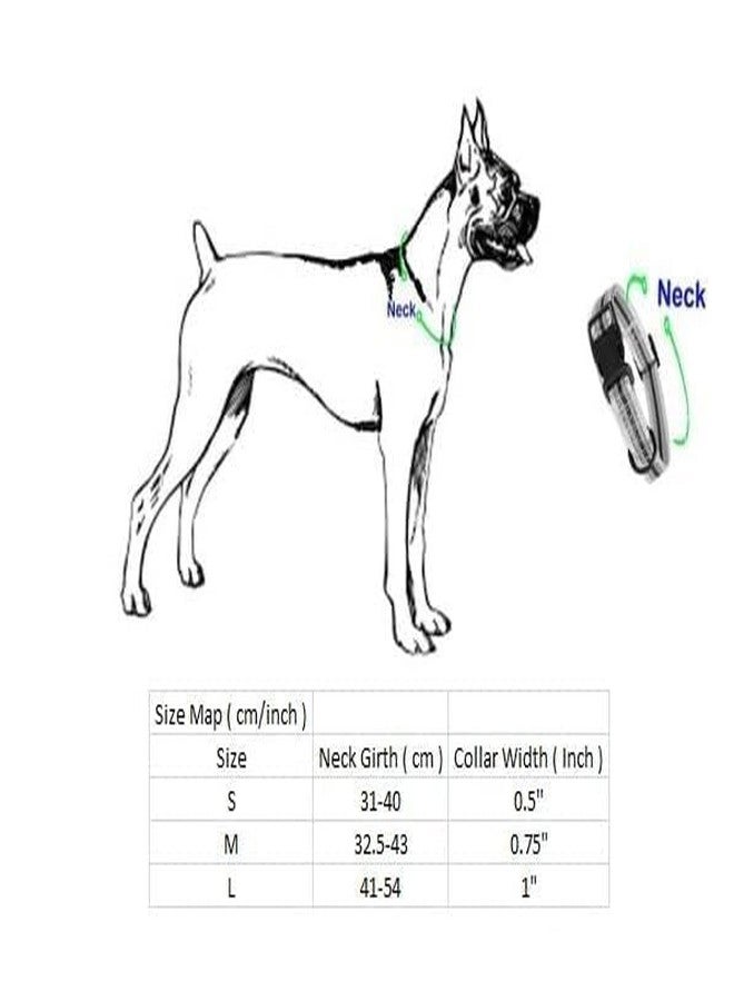 THE DDS STORE Dog Collar Belts and Leash Set Adjustable Collar with Leash for Cat and Dogs Leash with Snap Hook for Walking and Training (Large (Neck Girth = 41-54 cm, Width = 1 inch), Red) - Image 4
